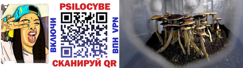 Псилоцибиновые грибы прущие грибы  Щучье 